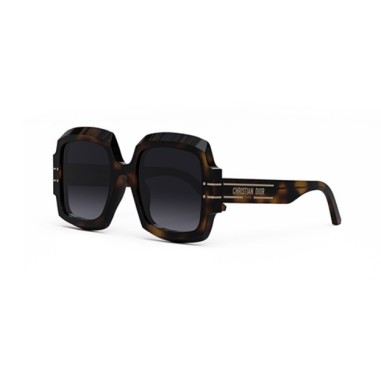 Dior DIORSIGNATURE S1U CD40049U 53B (26A1)