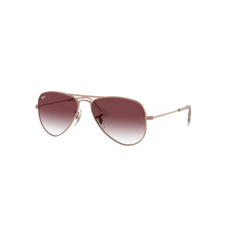 Ray-Ban JUNIOR AVIATOR RJ9506S 291/8H Ray-Ban JUNIOR AVIATOR RJ9506S 291/8H