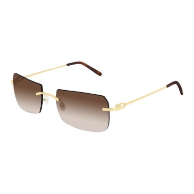 Cartier CT0006RS 001