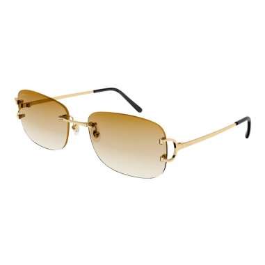 Cartier CT0011RS 002