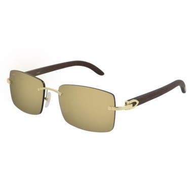 Cartier CT0012RS 001
