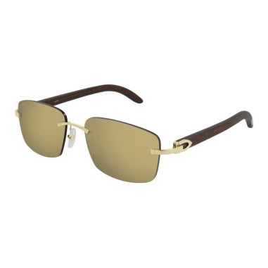 Cartier CT0013RS 001