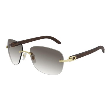Cartier CT0014RS 001