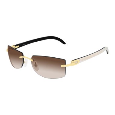 Cartier CT0017RS 001