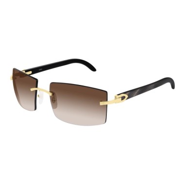 Cartier CT0021RS 001