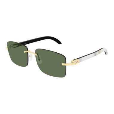 Cartier CT0030RS 002