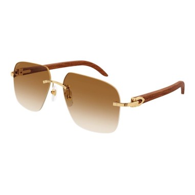 Cartier CT0041RS 001
