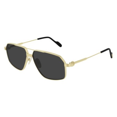 Cartier CT0270S 005