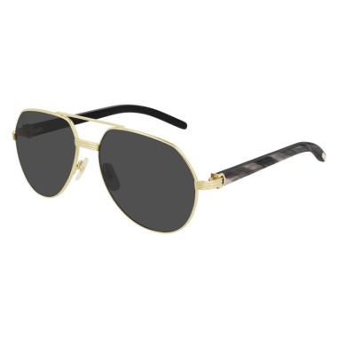 Cartier CT0272S 001