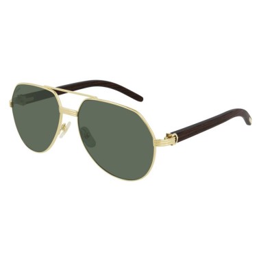 Cartier CT0272S 002
