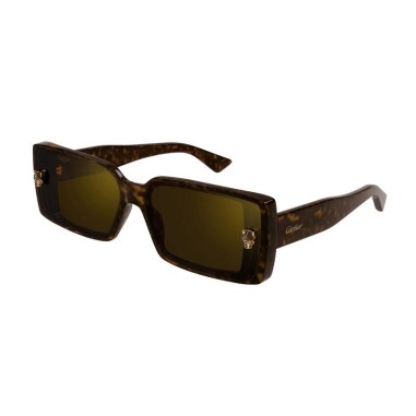 Cartier CT0358S 002