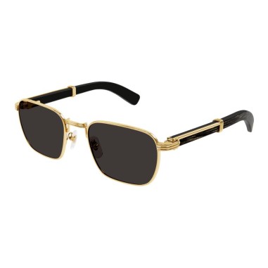 Cartier CT0363S 001