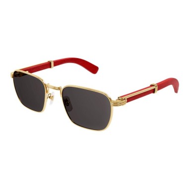 Cartier CT0363S 004