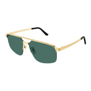 Cartier CT0385S 002