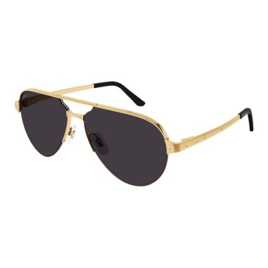 Cartier CT0386S 001