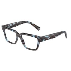 Dolce & Gabbana DG3383 3392