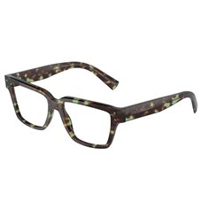 Dolce & Gabbana DG3383 3432
