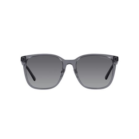 Emporio Armani EA4206D 5029T3