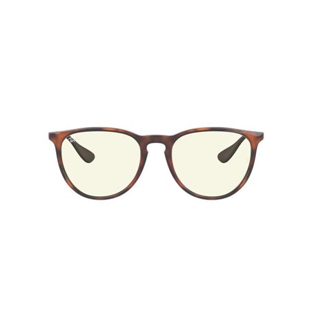 Ray-Ban ERIKA RB4171 865/SB Ray-Ban ERIKA RB4171 865/SB