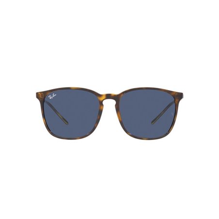 Ray-Ban RB4387 710/80