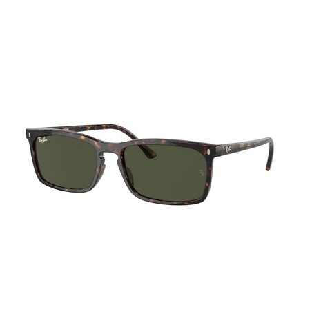 Ray-Ban RB4435 902/31 Ray-Ban RB4435 902/31