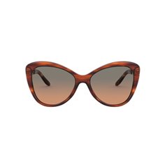 Ralph Lauren RL8184 500718 2