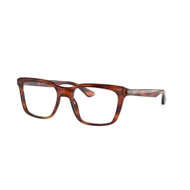 Ray-Ban RX5391 2144
