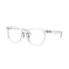 Ray-Ban RX5425D 2001