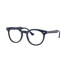 Ray-Ban EAGLEEYE RX5598 8231