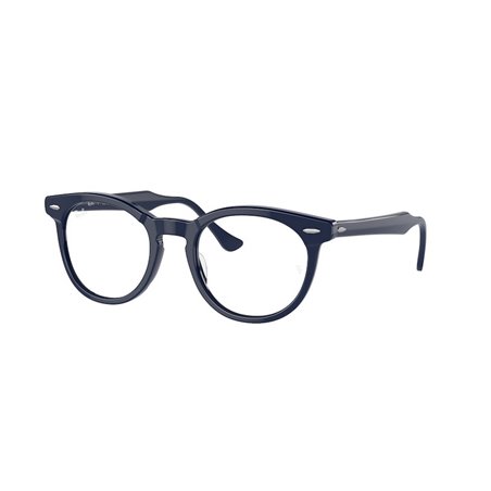 Ray-Ban EAGLEEYE RX5598 8231 Ray-Ban EAGLEEYE RX5598 8231