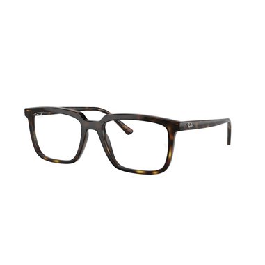 Ray-Ban ALAIN RX7239 2012