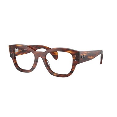 Ray-Ban JORGE RX7681V 2144