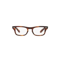 Ray-Ban Junior BURBANK RY9083V 3888 2