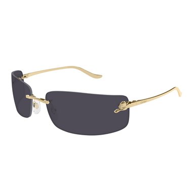 Cartier CT0503S 001