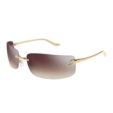 Cartier CT0503S 003