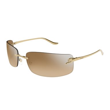 Cartier CT0503S 004