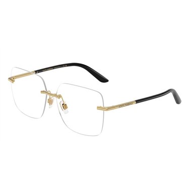 Dolce & Gabbana DG1360 02