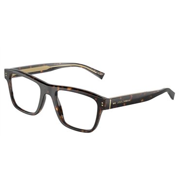 Dolce & Gabbana DG3362 502