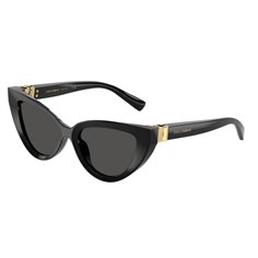 Dolce & Gabbana DG4497 501/87