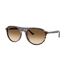 Ray-Ban RB2215 143151