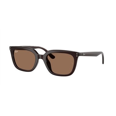 Ray-Ban RB4439D 623173