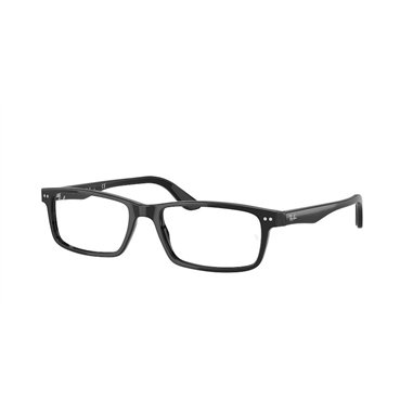 Ray-Ban RX5277 2000