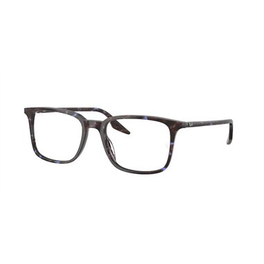Ray-Ban RX5421 8424