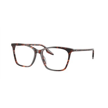Ray-Ban RX5422 8423