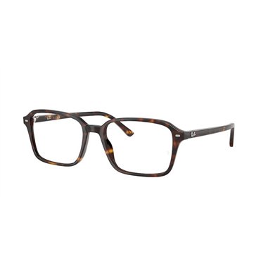 Ray-Ban RAIMOND RX5431 2012