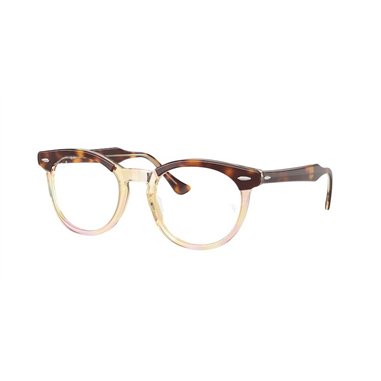 Ray-Ban EAGLEEYE RX5598 8402