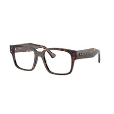 Ray-Ban LAURENE RX7256 8320