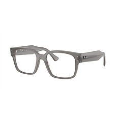 Ray-Ban LAURENE RX7256 8431