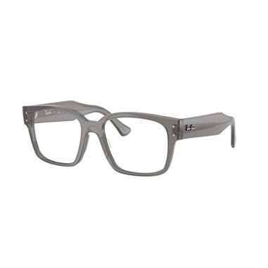 Ray-Ban LAURENE RX7256 8431