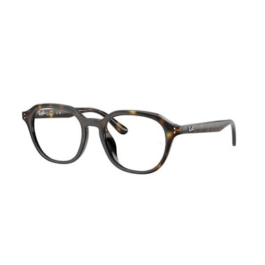 Ray-Ban RX7259D 2012